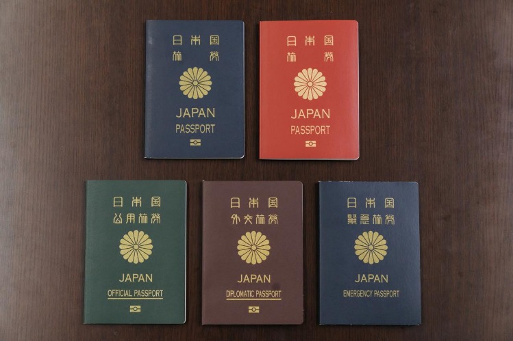 詹金斯帶隊,創下最佳戰,榮耀巅峰獨,香港赛马,赛程安排,赛果查询,马匹资料,赛事动态